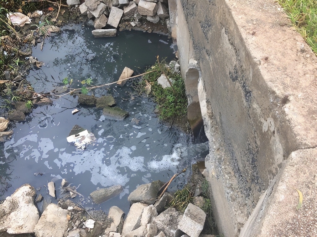 Polluting lakes of Bangalore